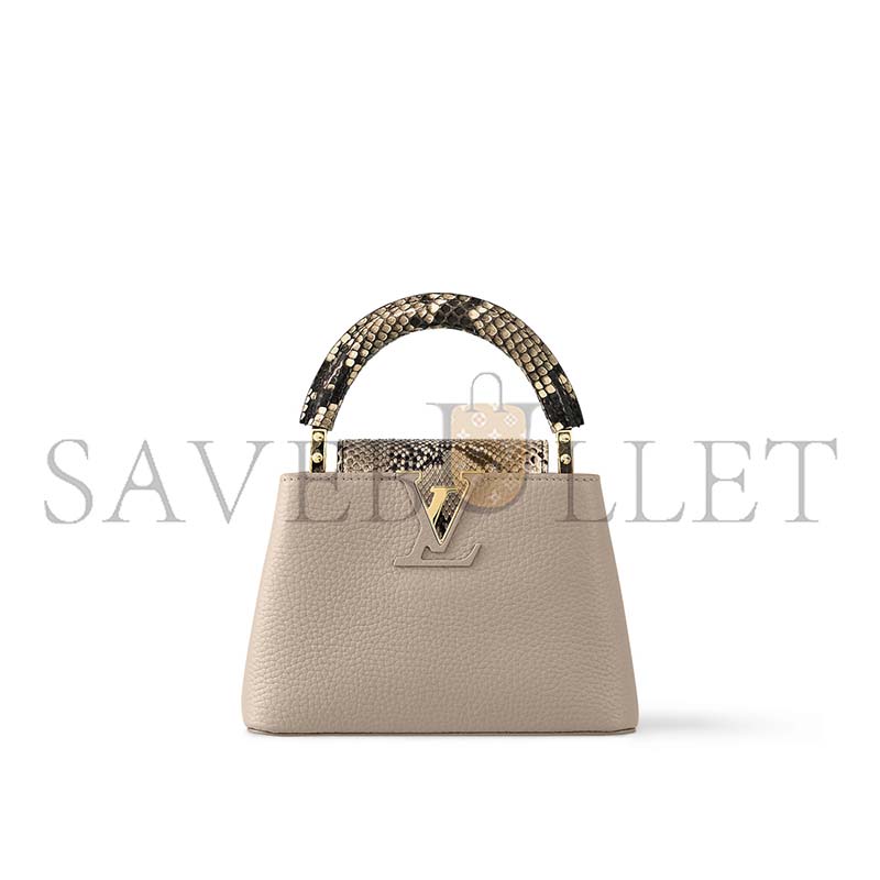 LOUIS VUITTON CAPUCINES MINI N81258 (21*14*8cm)